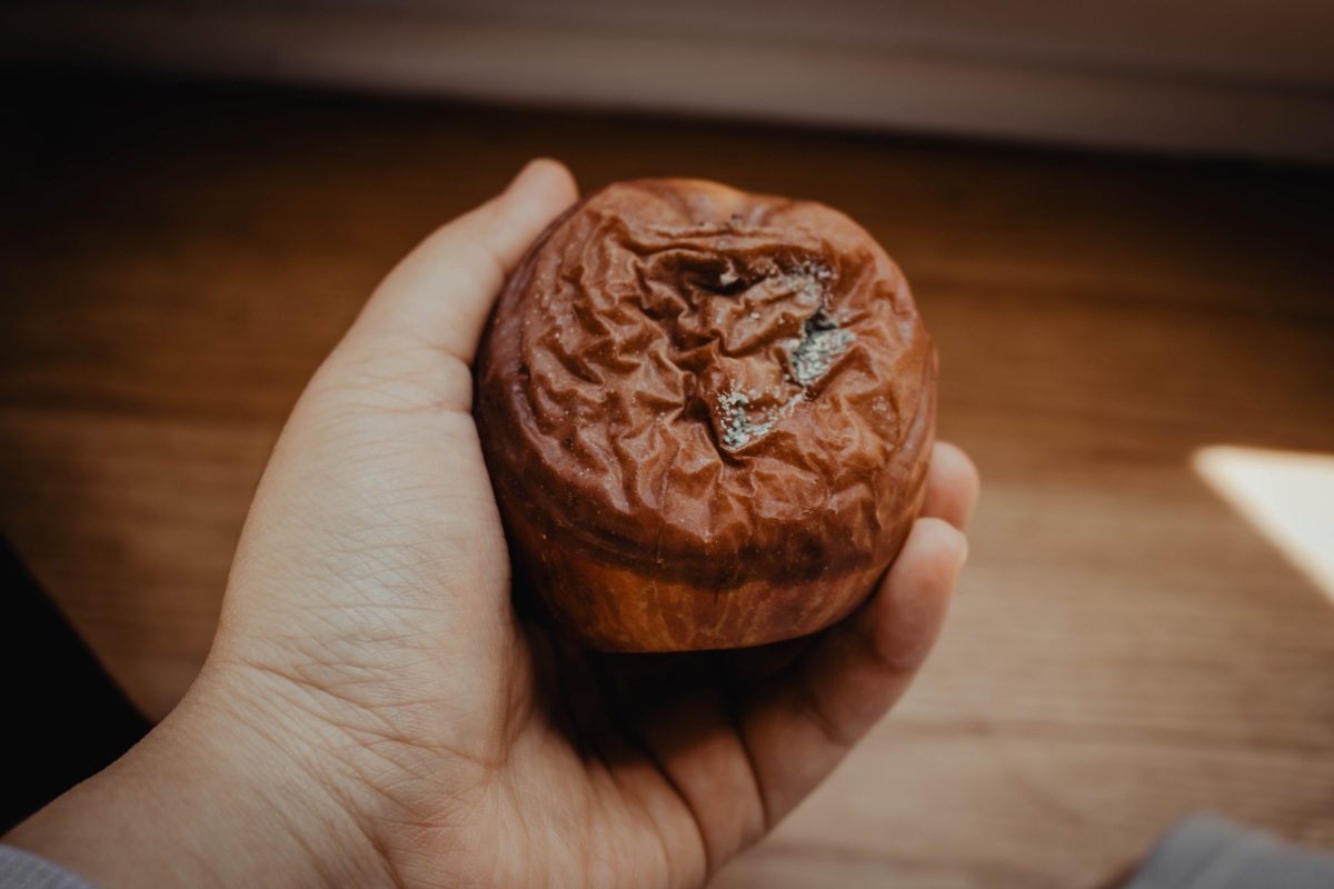 Photo d'une pomme pourrie dans une main